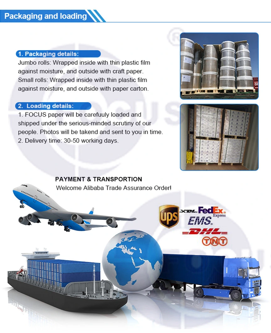 لیبل حرارتی Eco Thermal Shipping Labeling Jumbo Roll 70GSM 75GSM 5