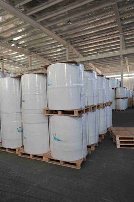 BPA-Free Thermal Paper Roll for POS Receipts, ATM printer paper, oil-resistant thermal roll – 5+ Year Image Life