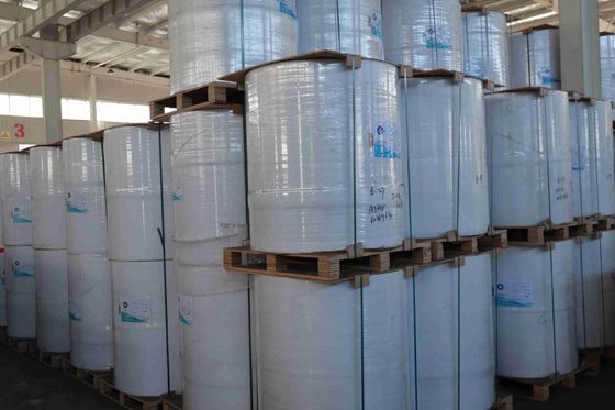 100% خمیر چوب بکر وارداتی بدون BPA کاغذ حرارتی صافی بالا کشش قوی عمر طولانی تصویربرداری