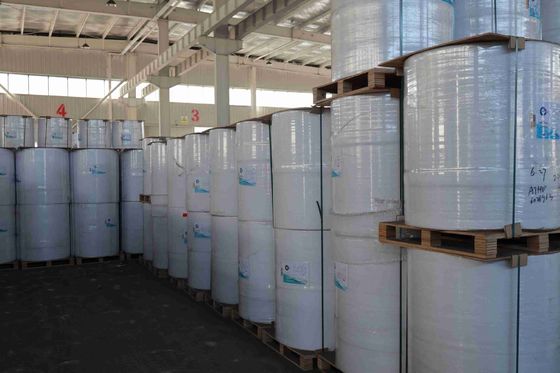 BPA Free Focus Brand Thermal Paper نرم بودن بالا تراکم نوری مناسب 100٪ سلول چوبی وارداتی